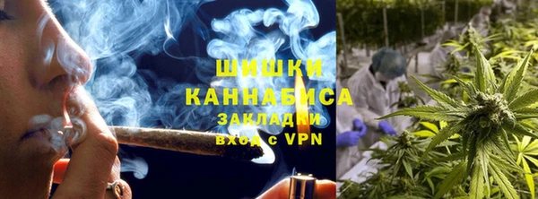твердый Аркадак