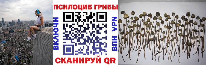 Псилоцибиновые грибы GOLDEN TEACHER  дарк нет телеграм  Белая Калитва 